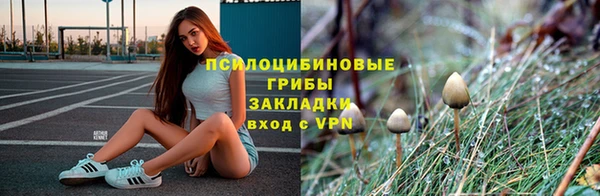 соль курить ск Верхний Тагил