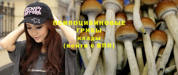 соль курить ск Верхний Тагил