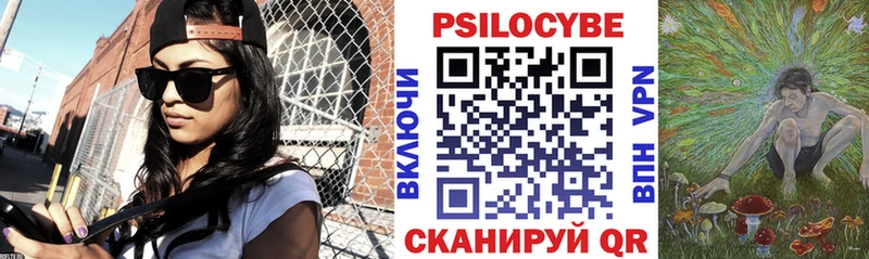 Псилоцибиновые грибы мицелий  продажа наркотиков  Ковров 